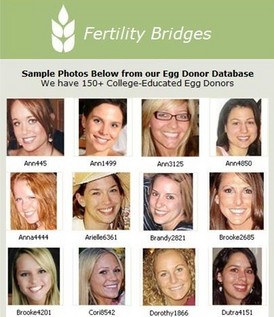 egg 1.JPG
